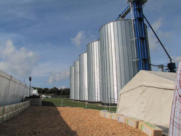 IMG_2810001